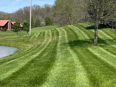 Landscape Curbing
