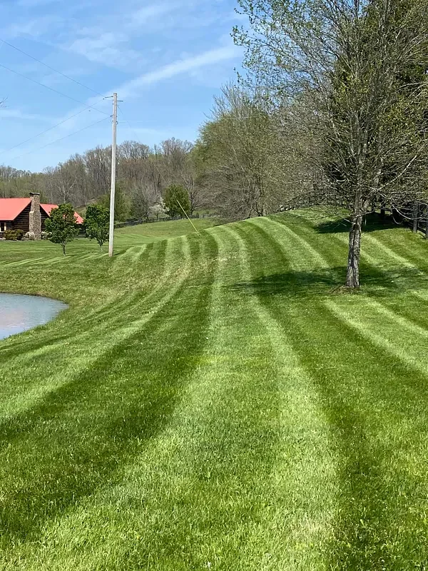 Landscape Curbing